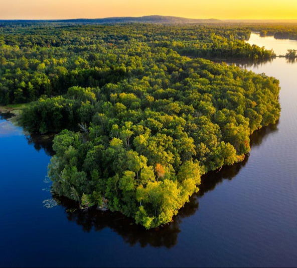 Foto: Amazônia