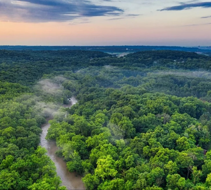 Alemanha retomará investimentos no Fundo Amazônia